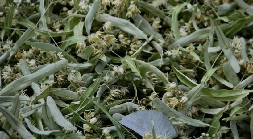 Değeri yaz aylarında bilinmiyordu ama! Kış aylarında bu ürünler resmen altınla yarışıyor... - Resim: 2