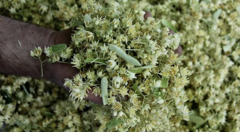 Değeri yaz aylarında bilinmiyordu ama! Kış aylarında bu ürünler resmen altınla yarışıyor... - Resim: 1