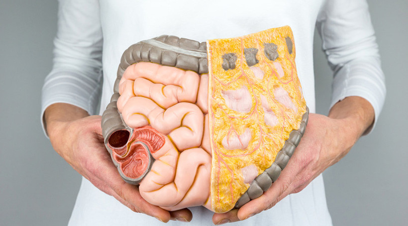 Bağırsağa faydalı ve zararlı şeyler! - Resim: 1