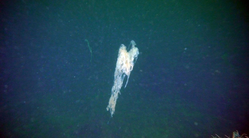 Marmara Denizi doğal felaket yaşıyor Prof. Mustafa Sarı kötü haberi verdi - Resim: 2