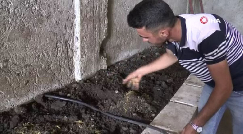 Gaziantep'te internetten görüp bu işe başladı! 20 yaşında ayda bir ton üretiyor - Resim: 4