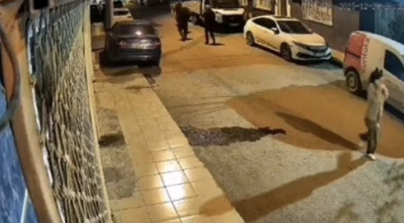 Mihriban Yılmaz cinayetinde kan donduran detaylar! Tecavüz var mı yok mu? - Resim: 4