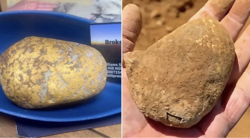 Yıllardır kimse böylesini görmedi! Patates sandı servet çıktı! - Resim: 1