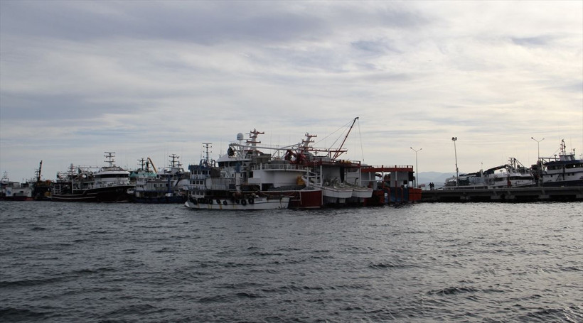 Balık bolluğu yaşanıyor! Balıkçıların Karadeniz'deki hamsi avı sürüyor - Resim: 2