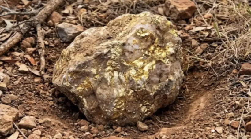 Yıllardır kimse böylesini görmedi! Patates sandı servet çıktı! - Resim: 5