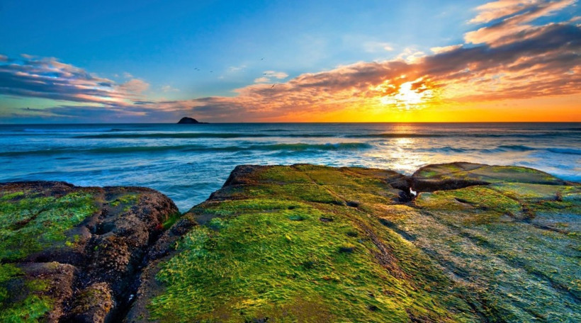 İnternetten "hayatın anlamını" satışa çıkardı gören donakaldı - Resim: 4