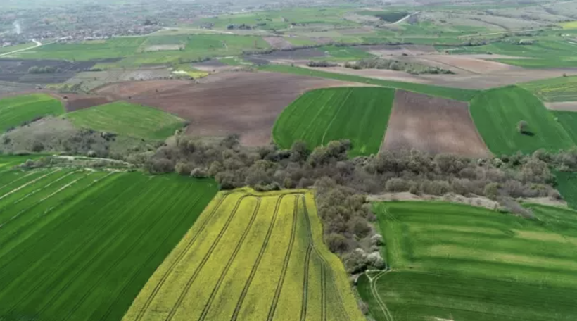 Kenan İmirzalıoğlu dudak uçuklatan kazancını bakın neye ve nereye yatırıyormuş... - Resim: 4