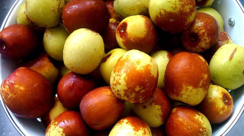 Hünnap meyvesinin faydaları nelerdir toksinlerin atılmasını sağlıyor! - Resim: 2