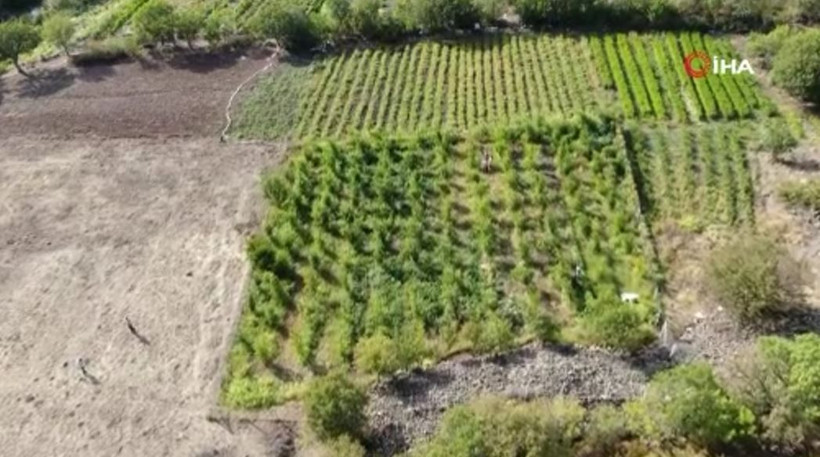 Ankara'da bu işe başladı! Paraya para demiyor: Bunu yetiştirmeyene yazıklar olsun - Resim: 3