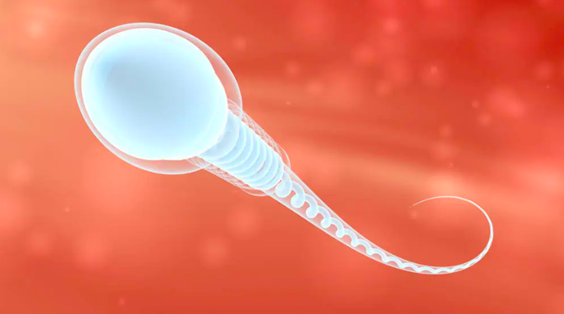 Sperm sağma makinesi ülkeyi karıştırdı! Gerçek çok başka çıktı - Resim: 4