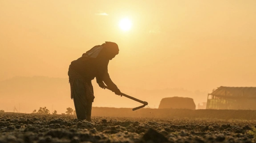 1 milyar insan sıcaklık ve kuraklık tehdidi altında - Resim: 3