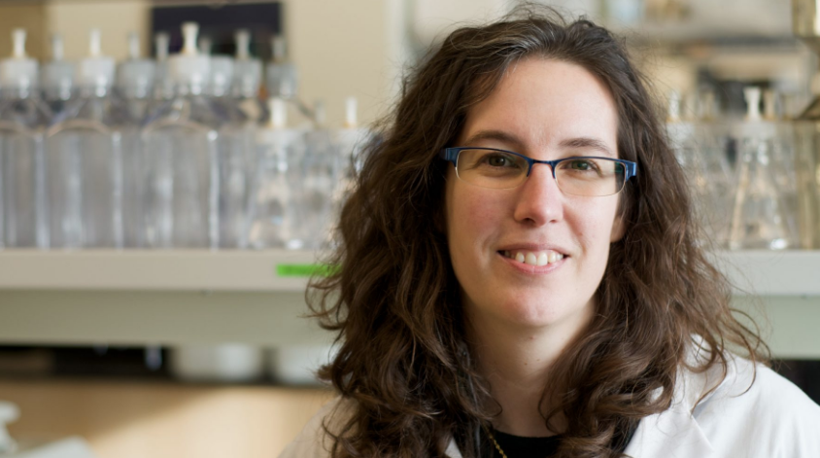 Bilim insanlarından korkutan keşif! İnsanlar için zehirli yeni bir canlı türü - Resim: 4