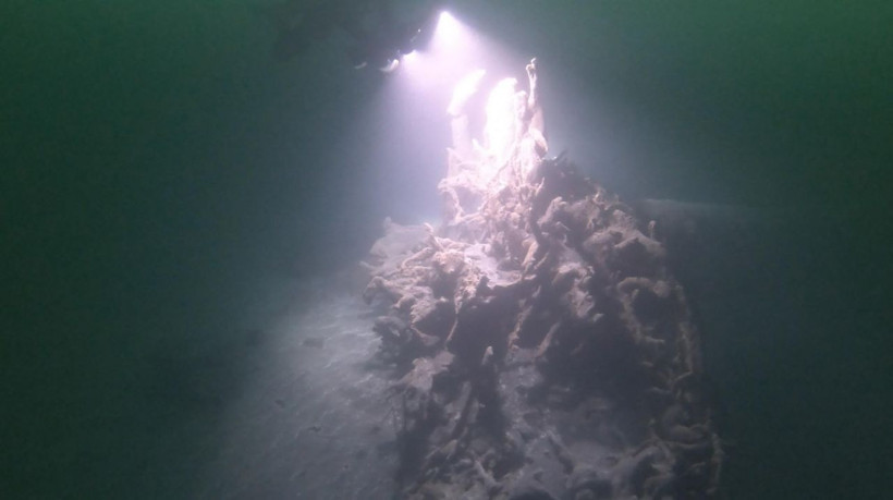 Eski günlerine döndü Gölcük'te batık şehre yoğun ilgi - Resim: 3