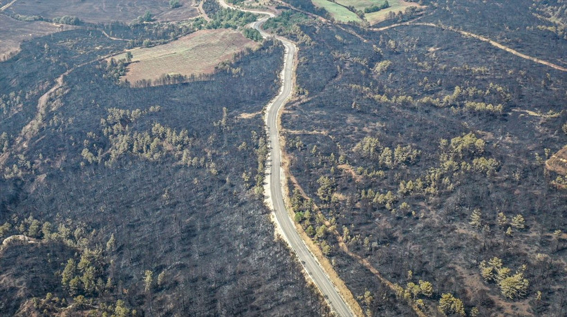 Bilecik'te orman yangınında zarar gören alanlar dronla görüntülendi - Resim: 3