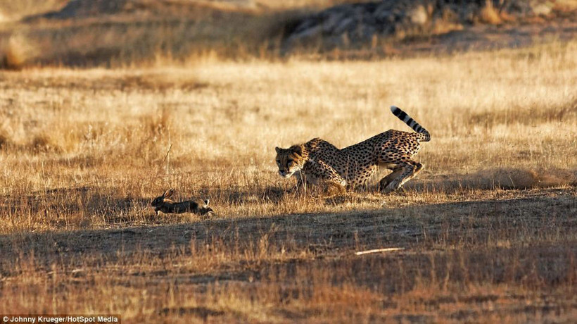 Ölüm kalım savaşı! - Resim: 2