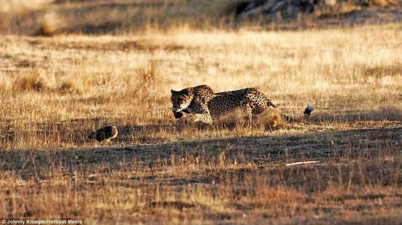 Ölüm kalım savaşı! - Resim: 3