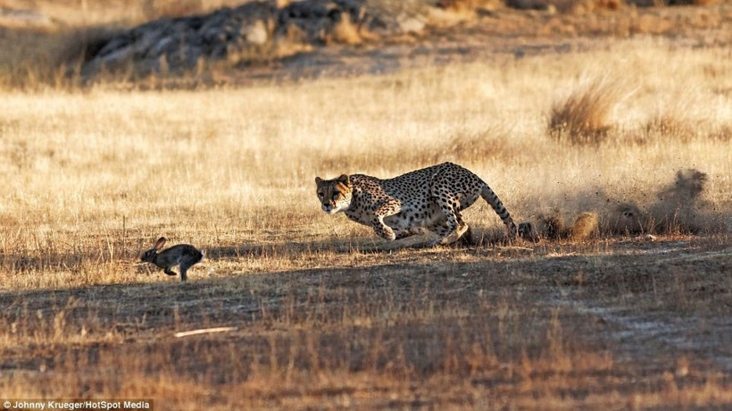 Ölüm kalım savaşı! - Resim: 4