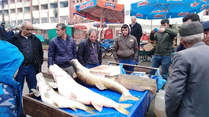Botan Çayı'nda yakalandı görenler gözlerine inanamadı - Resim: 4