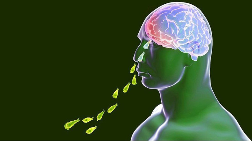 Prof. Dr. Mehmet Ceyhan açıkladı: Beyin yiyen amip Türkiye'de de var - Resim: 3