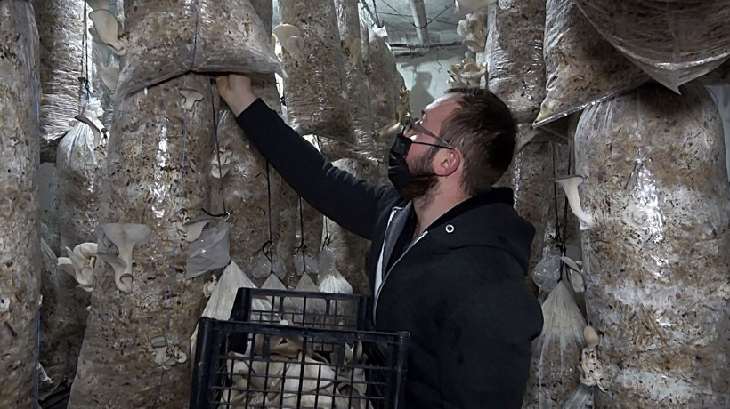 Düzce'de ek gelir için üretime başladı bir odanın aylık 10 ile 15 bin lira kazancı var - Resim: 3