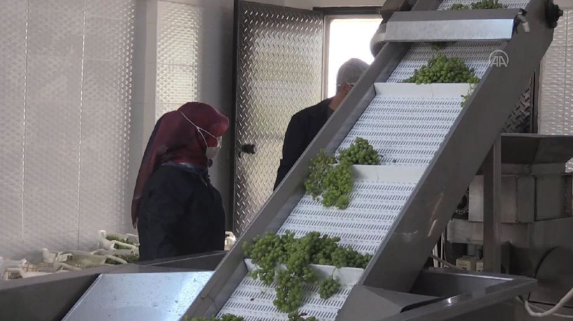 Manisa'da üretildi 3-4 gün içinde bitiyor! On binlerce şişe yetmedi: Yok satıyor - Resim: 4