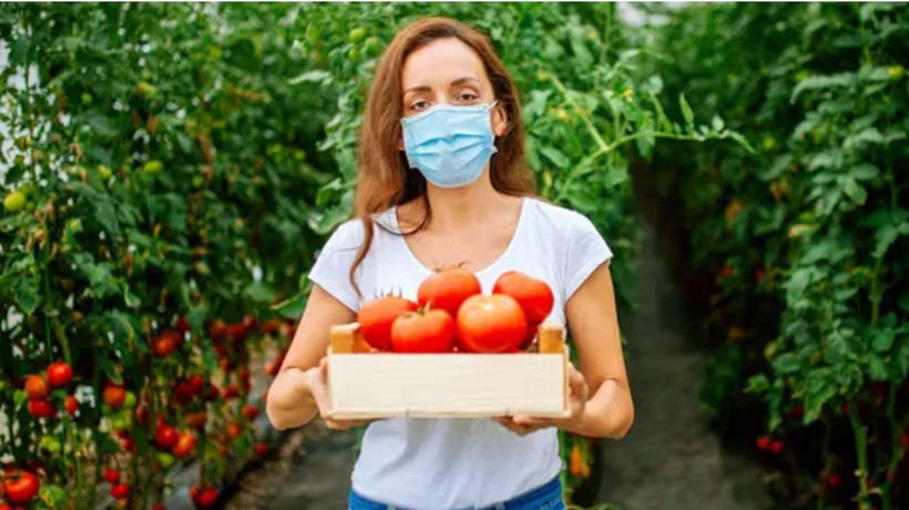 Domatesten korona aşısı yaptılar! Bu Covid-19 aşısı yenilebiliyor - Resim: 3