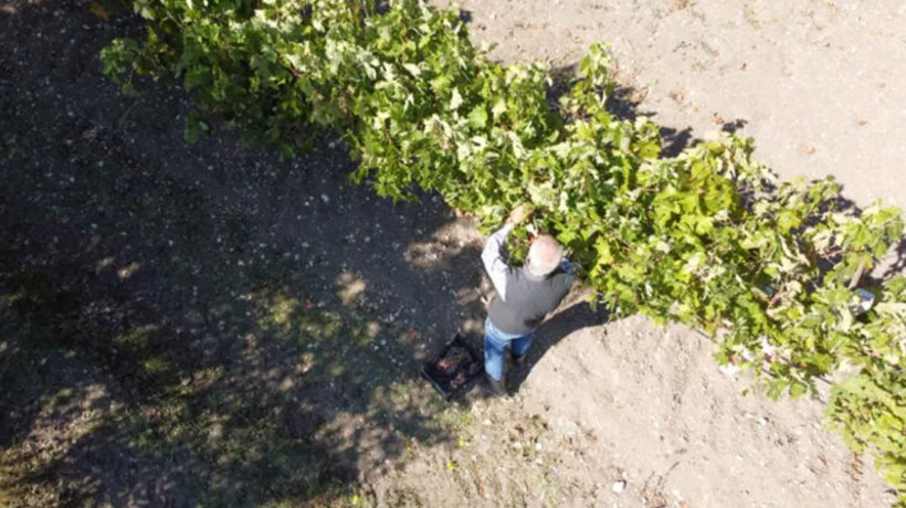 Bilecik'te aldığı kararla hayatı değişti! 5 yıldır markete para vermiyor - Resim: 4