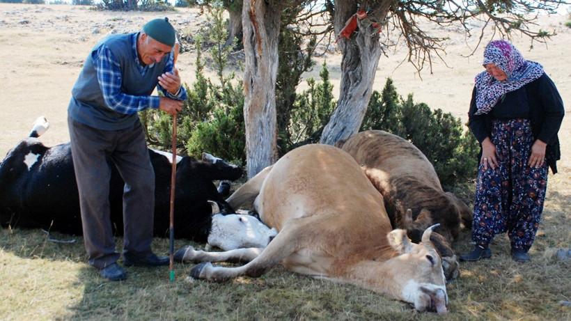 Kütahyalı yaşlı çift bu sefer mutluluktan ağladı - Resim: 1
