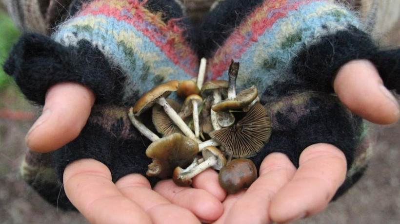 'Sihirli mantar' depresyon hastalarına iyi geliyor - Resim: 2