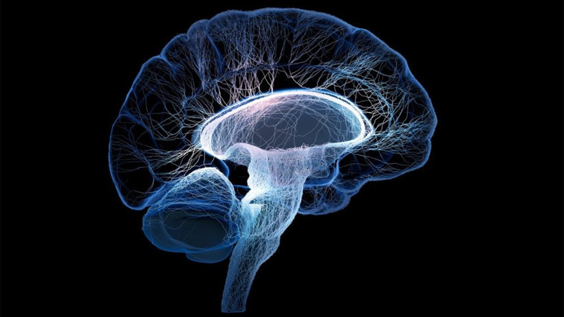 Yapay zeka intihar riskini ölçecek - Resim: 1