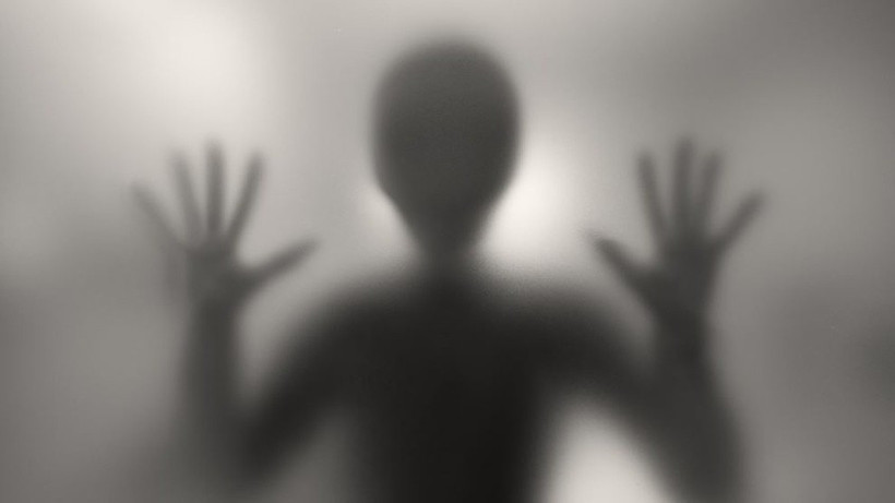 Öyle bir şey dedi ki herkes inandı böyle dolandırıcılık görülmedi! - Resim: 3