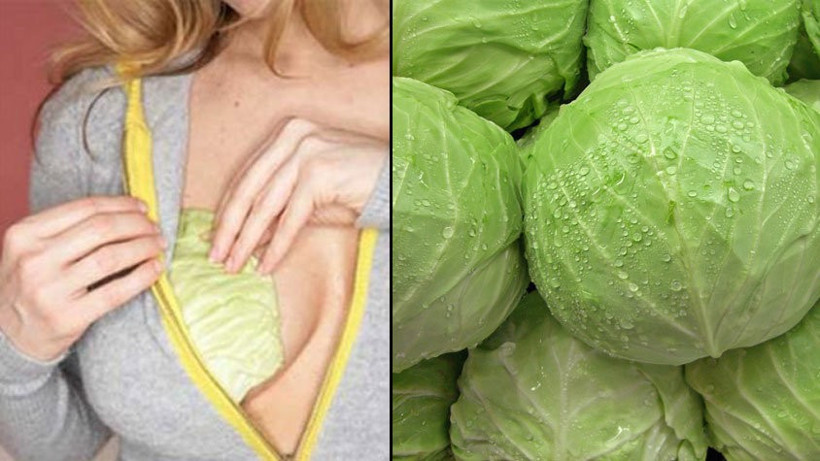 Göğsünüze lahana koyun bakın neler olacak - Resim: 3