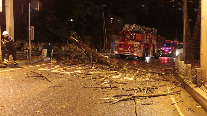 İstanbul'un göbeğinde ağaç devrildi, yol trafiğe kapandı - Resim: 2