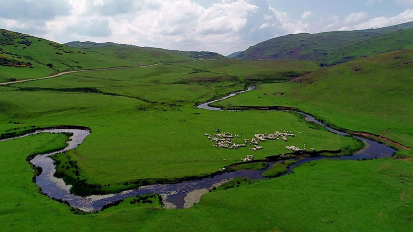 Ordu'da bir doğa harikası: Perşembe Yaylası - Resim: 1