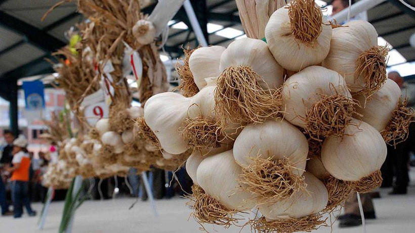 Sebze fiyatları artıyor ancak sarımsak tarlada çürüyor - Resim: 4