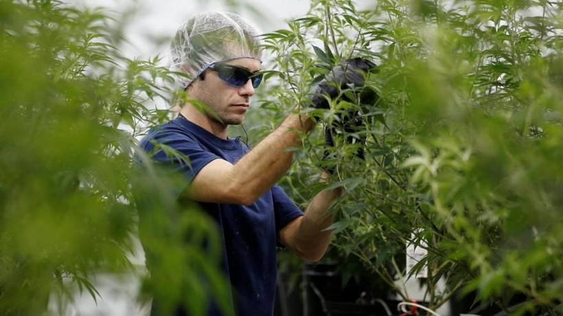 Kilosu bin TL'ye kadar çıktı! Erdoğan açıkladı fiyatlar tavan yaptı - Resim: 3