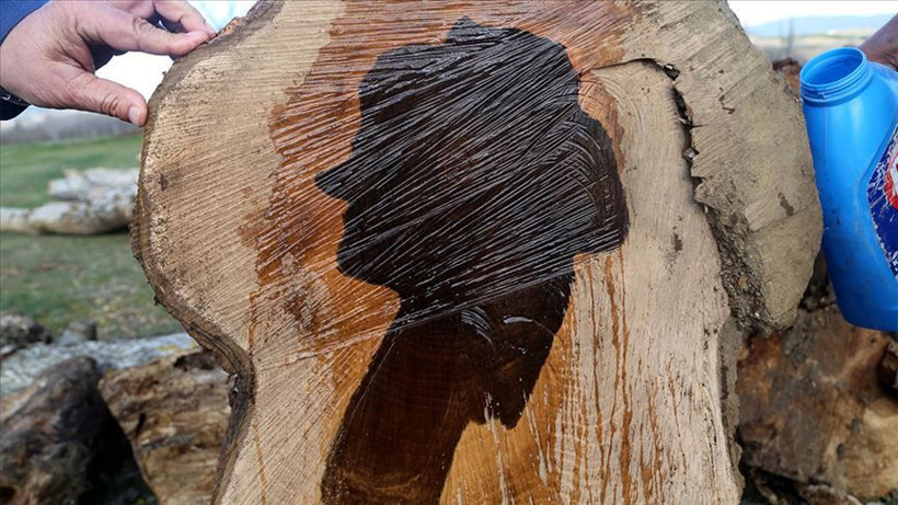 Kastamonu'da ilginç olay! Ağacın gövdesinden kadın silüeti çıktı - Resim: 4