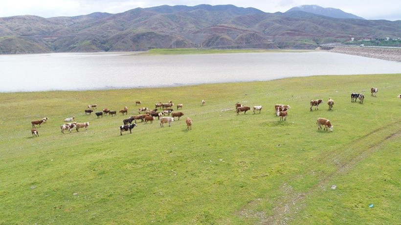 5 yıl önce kuruyan Murat Nehri'nin son hali hayranlık uyandırdı - Resim: 4
