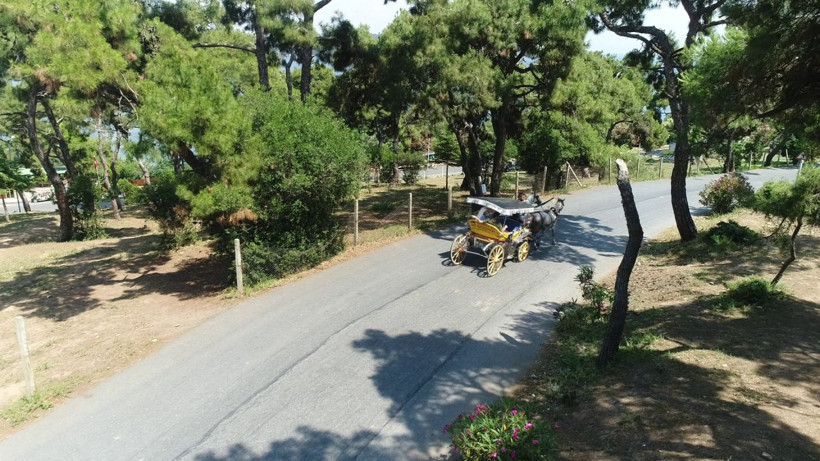 Adalar'da atların çilesi bitmiyor! - Resim: 1