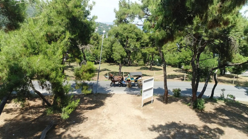 Adalar'da atların çilesi bitmiyor! - Resim: 2