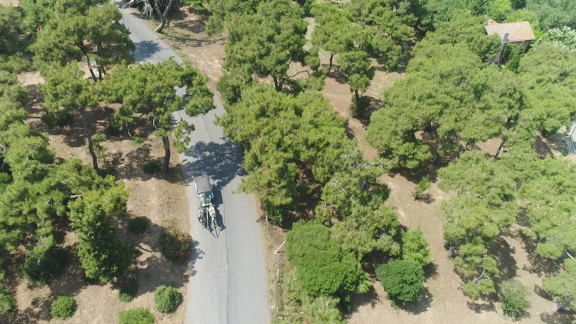 Adalar'da atların çilesi bitmiyor! - Resim: 3