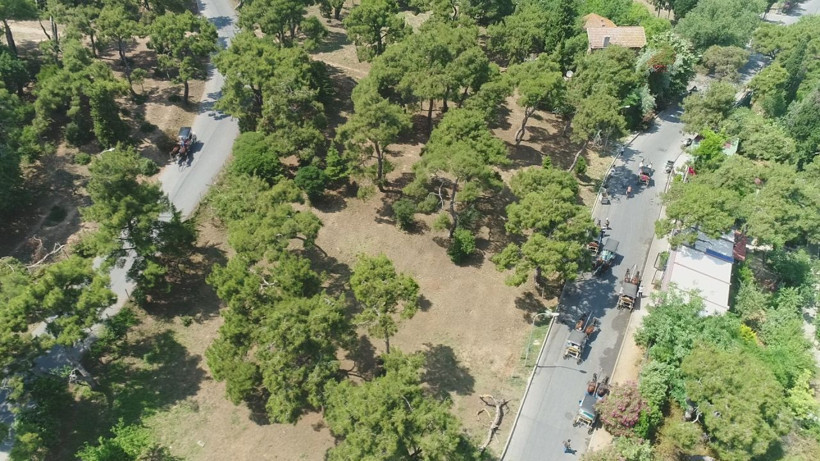 Adalar'da atların çilesi bitmiyor! - Resim: 4