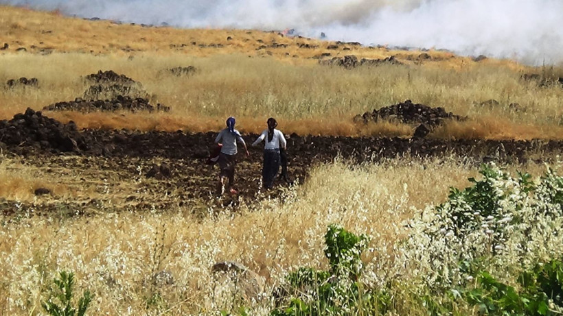 Diyarbakır'da bin dönümlük ekili alan kül oldu - Resim: 2