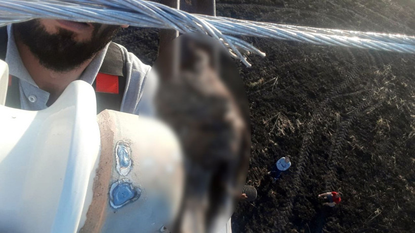 Tellere takılınca 20 dönüm buğday tarlası kül oldu - Resim: 3