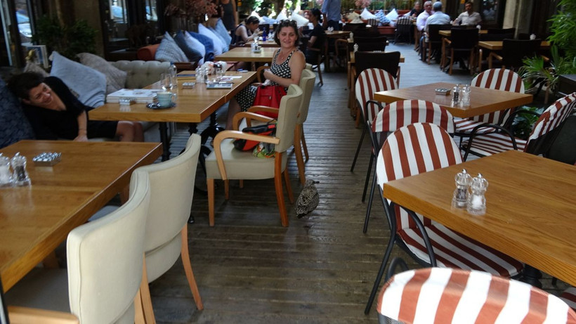 Martıyı kurtaran itfaiyecileri alkışladılar - Resim: 2