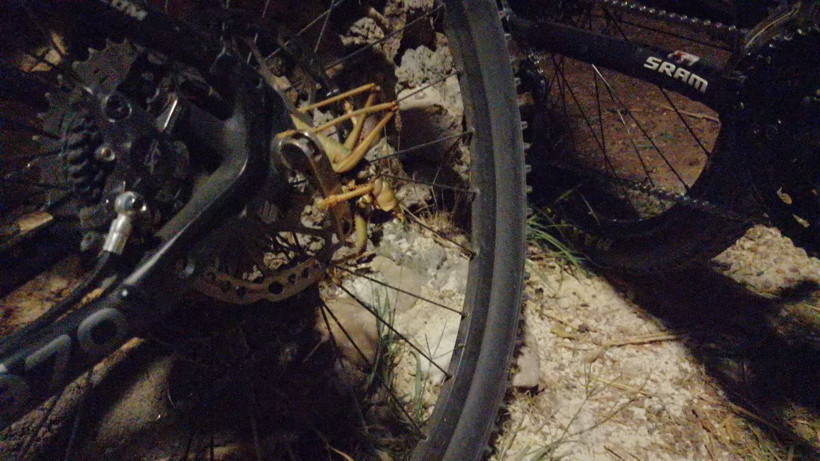 Adıyaman'da 20 santimlik çekirge görenleri şaşırttı - Resim: 2