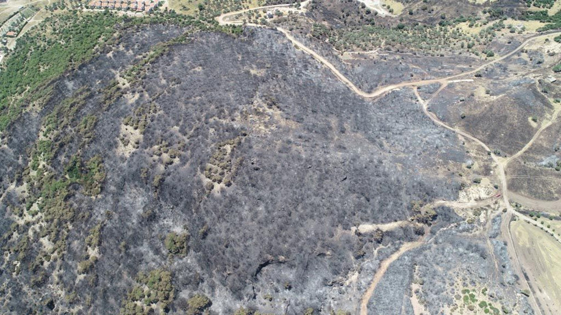 Yürekleri sızlattı! Yemyeşil alan bakın ne hale geldi! - Resim: 3