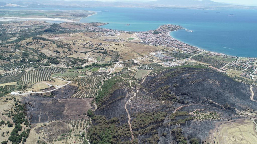 Yürekleri sızlattı! Yemyeşil alan bakın ne hale geldi! - Resim: 2