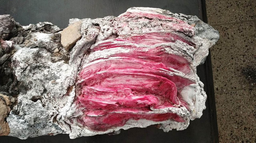 Muğla'da denizde yüzerken bulmuştu! Ne olduğu ortaya çıktı - Resim: 1