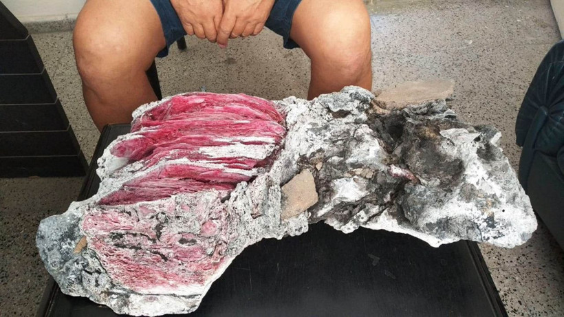 Muğla'da denizde yüzerken bulmuştu! Ne olduğu ortaya çıktı - Resim: 3